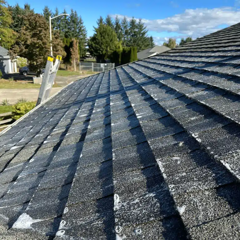 Roof Cleaning in Battle Ground, Wa